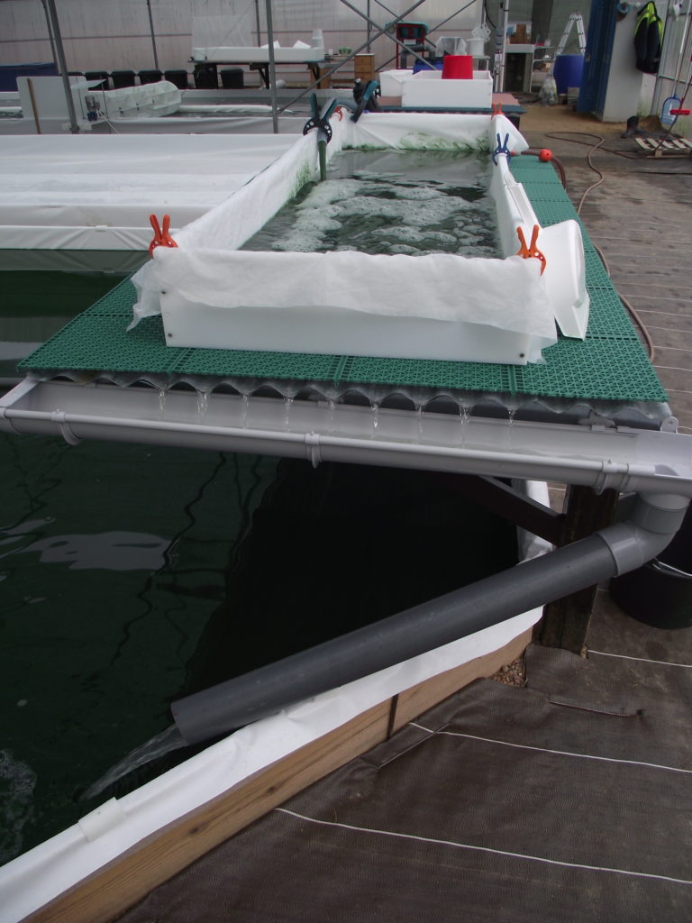 table de récolte remplit entrain de filtrer