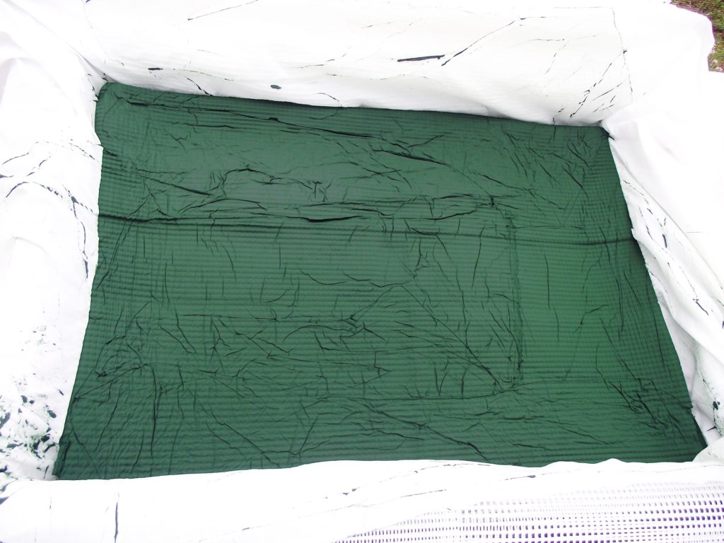 spiruline fraiche dans la table sous vide